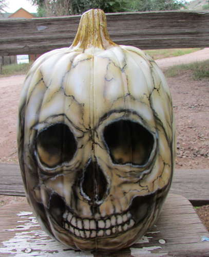 White Painted Skull