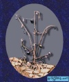 [Click to enlarge image]