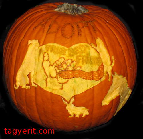 Patience, Love And A Forever Home Pumpkin