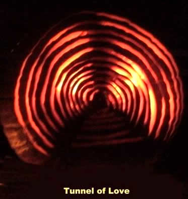 Tunnel of Love